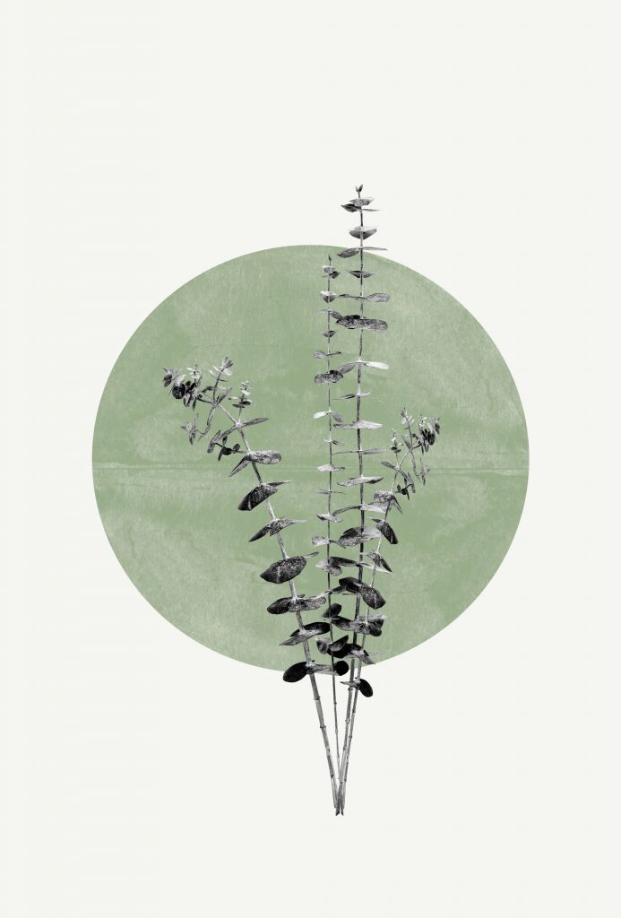 Eucalyptus and Green Moon