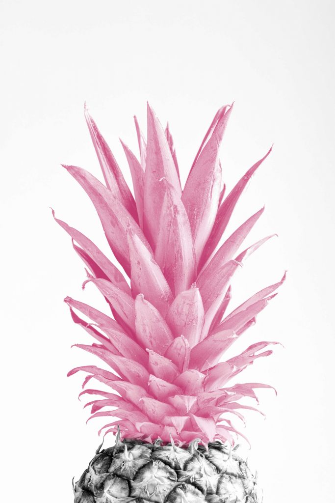 Pinapple Pink