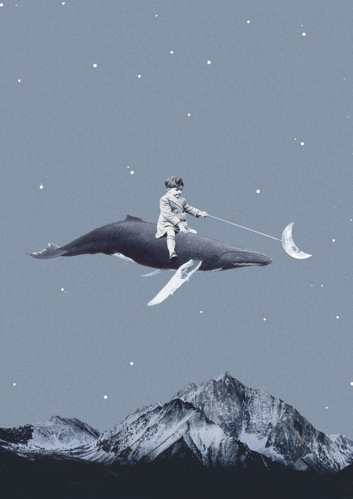 Aim for the moon