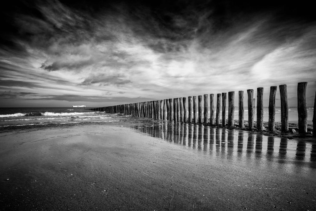 Wooden breakwater on the coast at Cadzand bath (black and white)