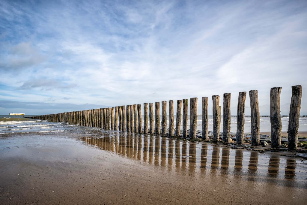 Wooden breakwater on the coast at Cadzand bath