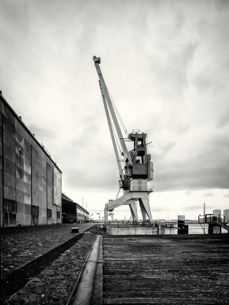 Harbour crane on the former RDM site Heijplaat Rotterdam 