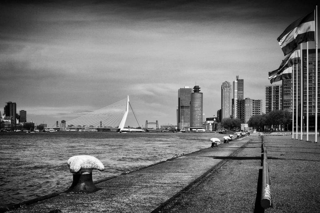 World port city Rotterdam