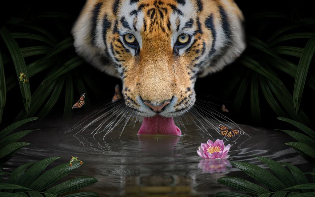 Jungle Tiger