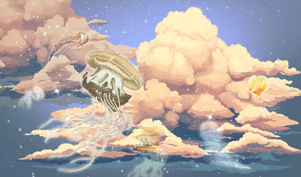 Jellyfish in the clouds