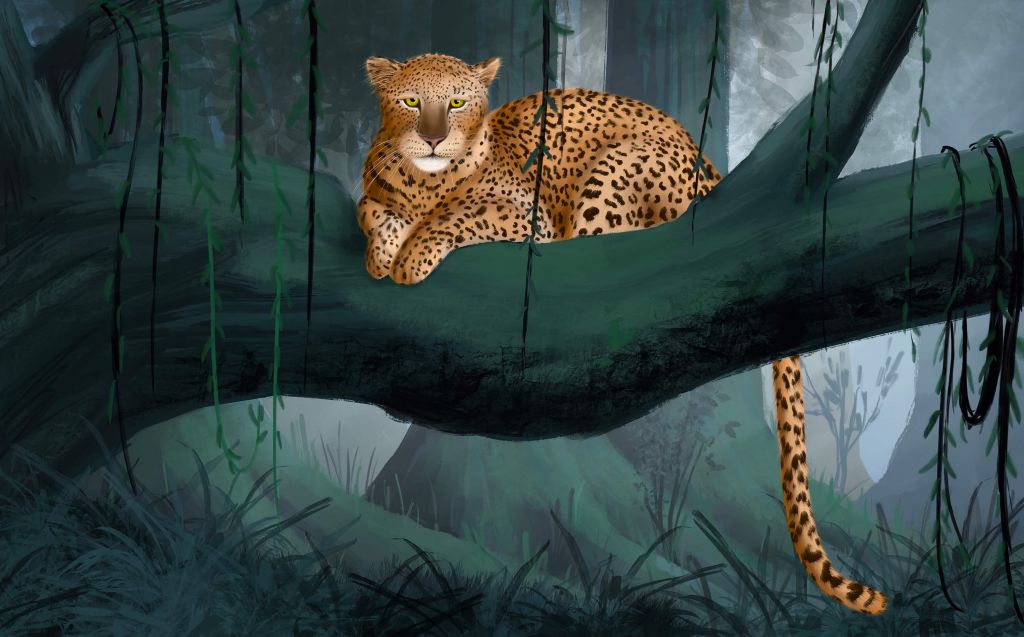 Cheetah on a branch