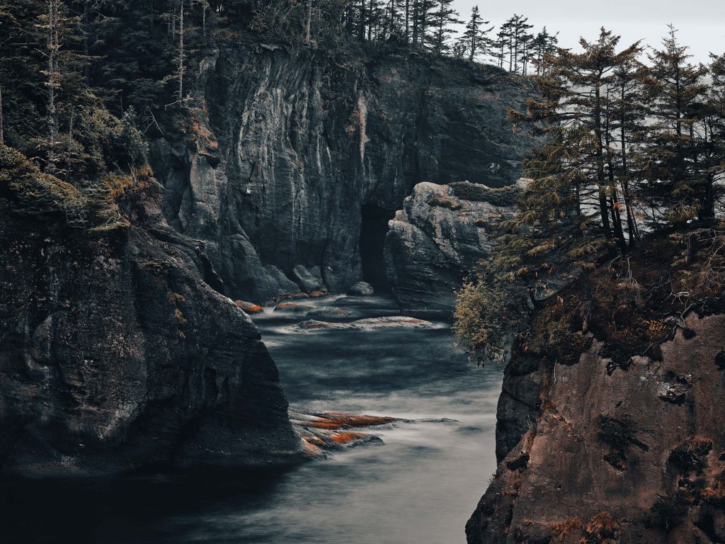 Rough nature on the coast