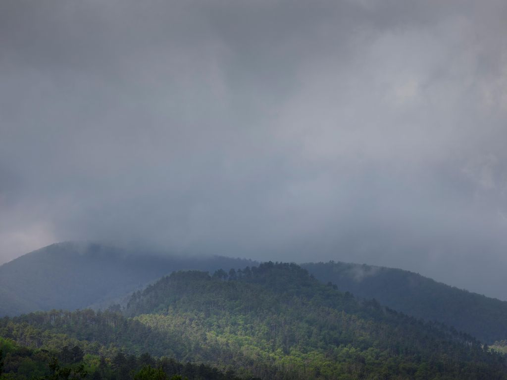 Clouds over trees in the mountains