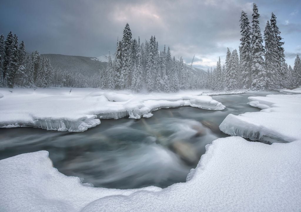 Winter wonderland