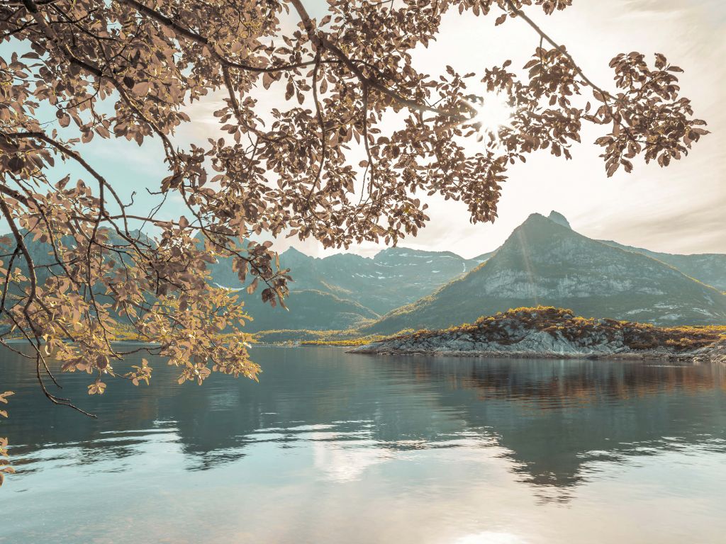 A Norwegian fjord