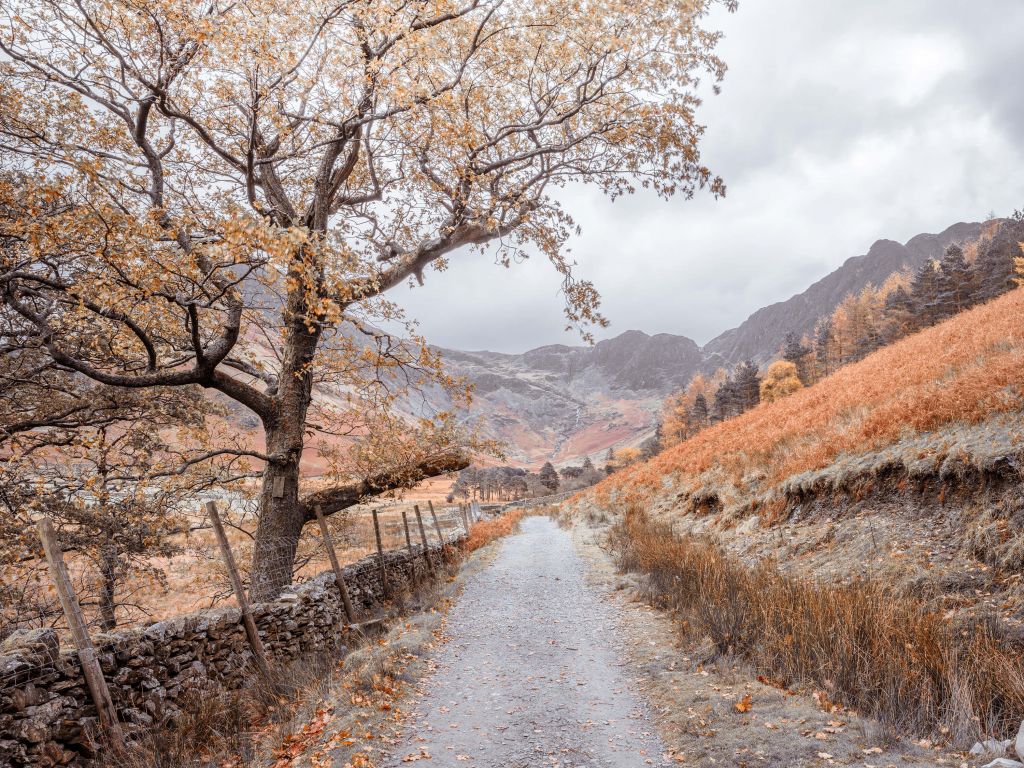 Path between the mountains