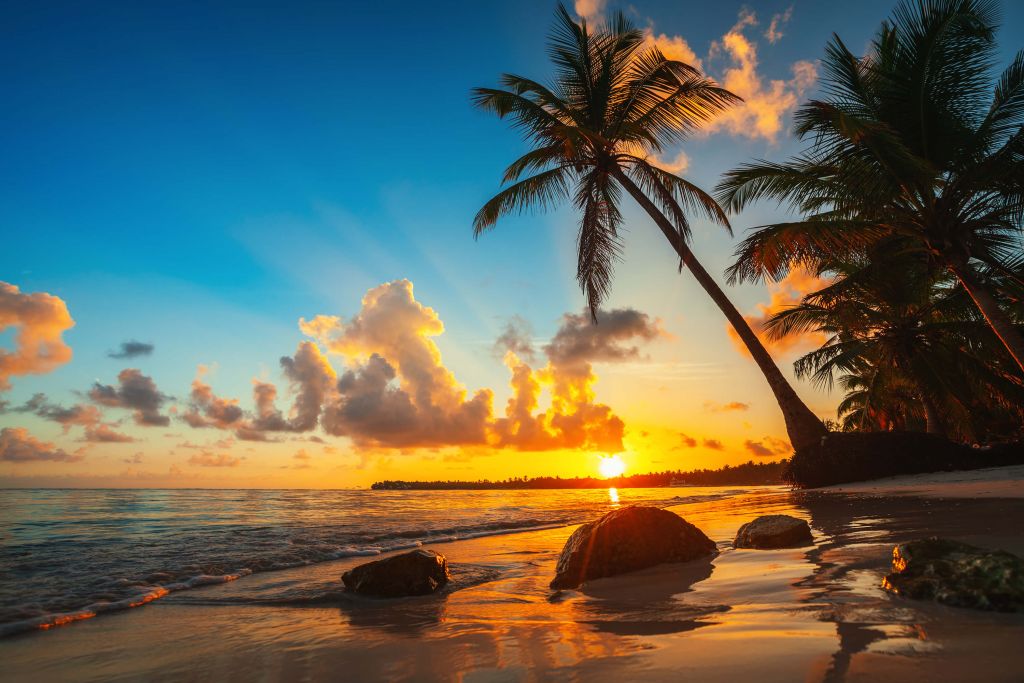 Sunset with palm trees