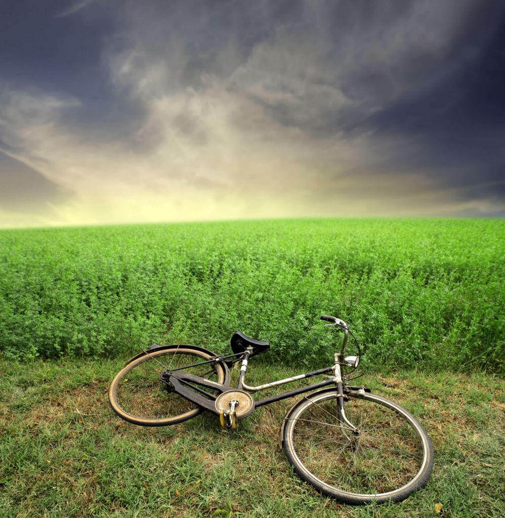 Old bicycle