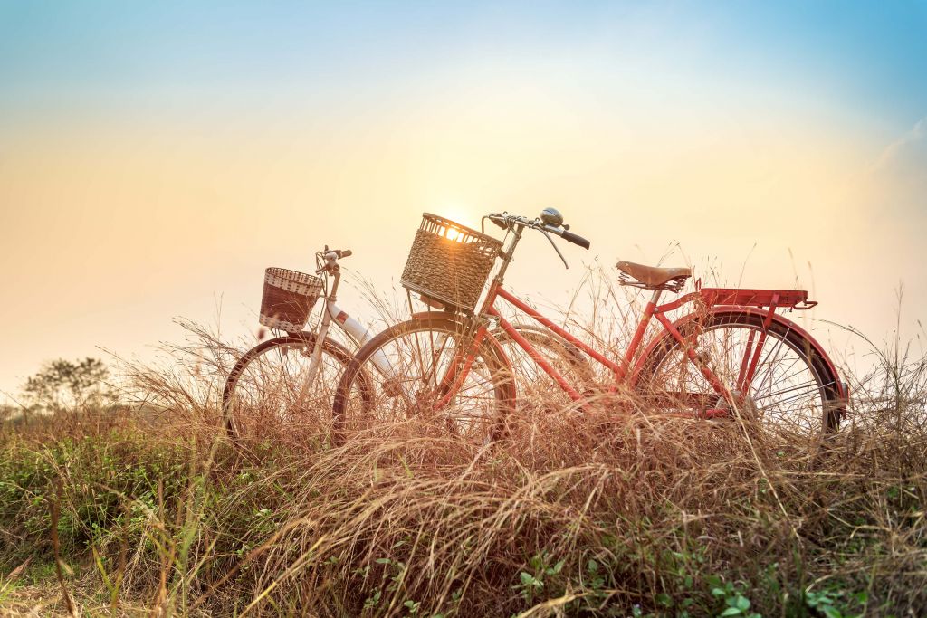 Vintage bikes