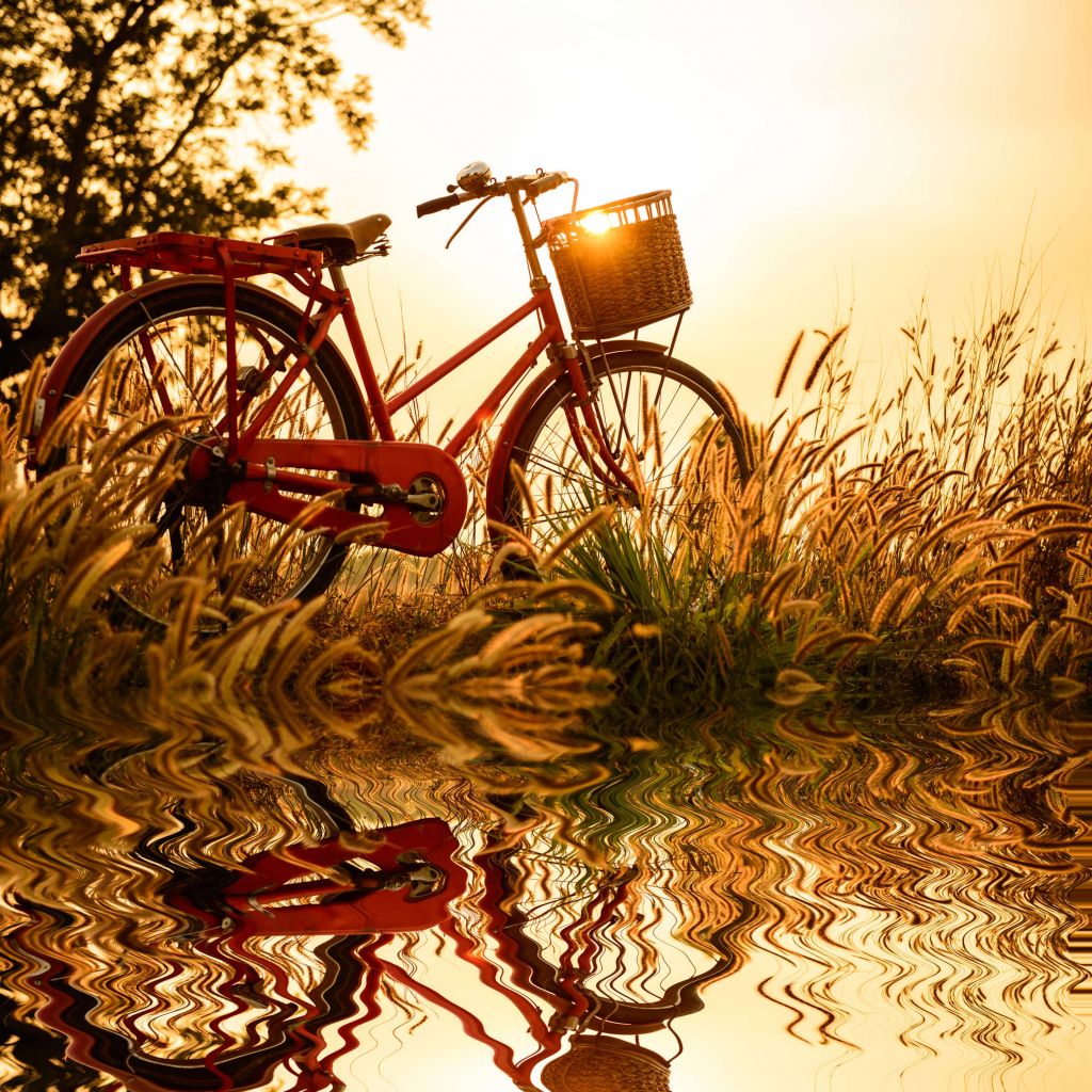 Bike at sunset