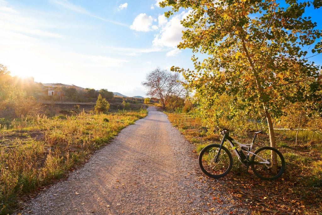 Bike in park