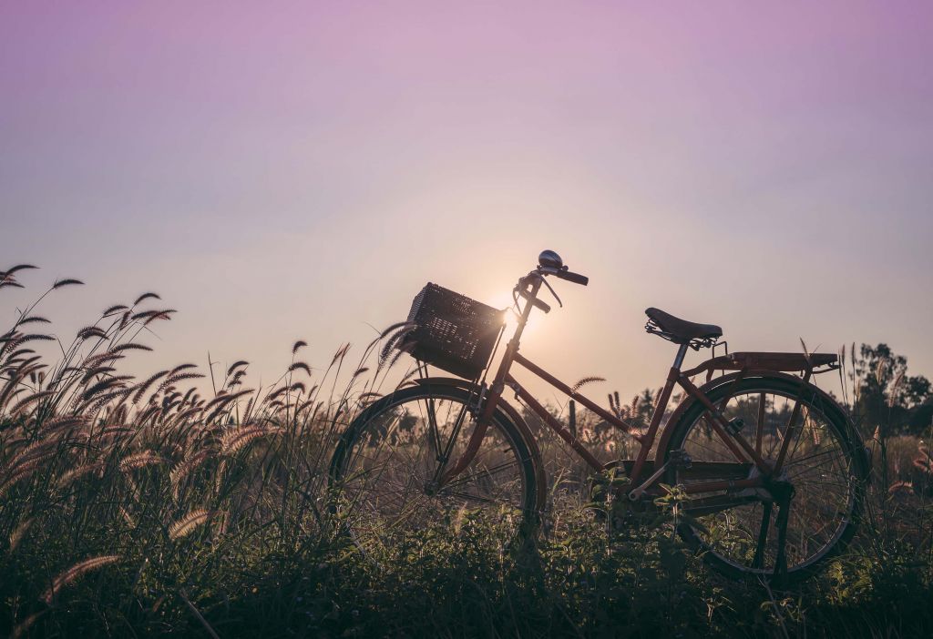 Bicycle in a field