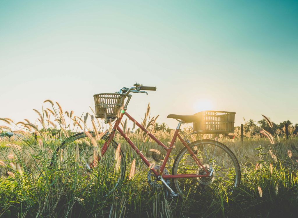 Red vintage bike