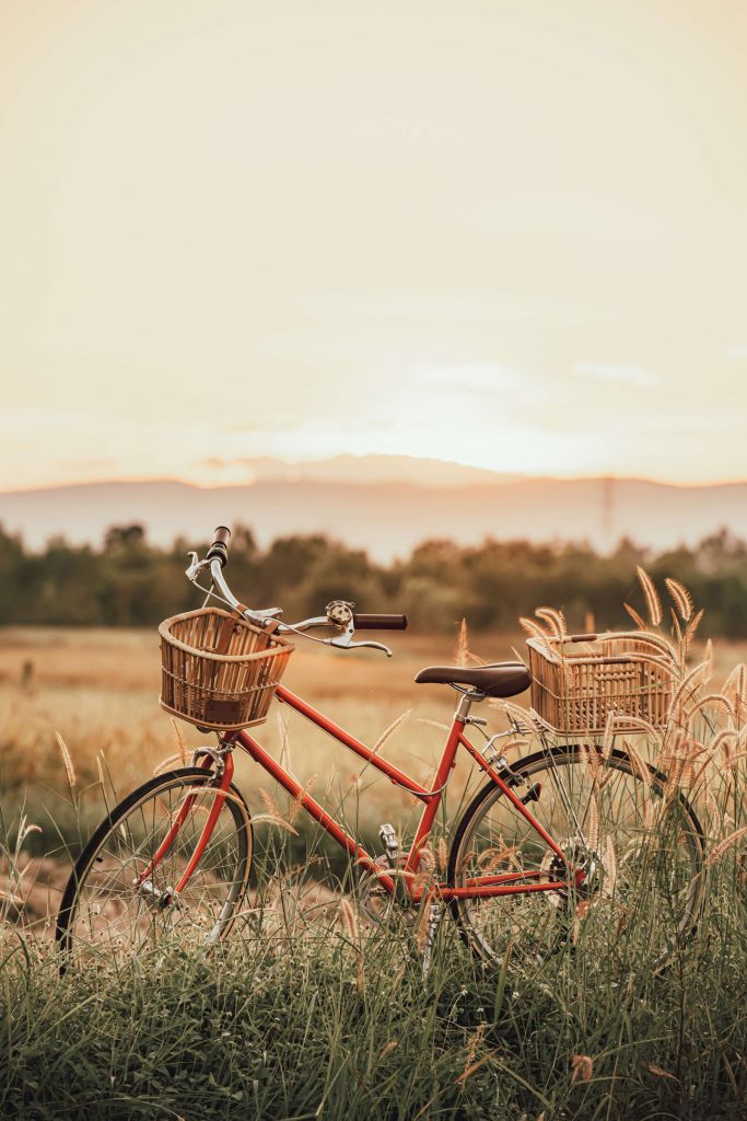 Vintage bike in summer