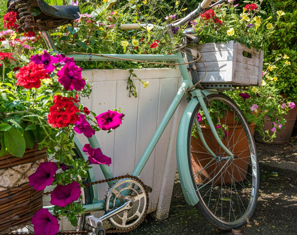 Old bike with flowers