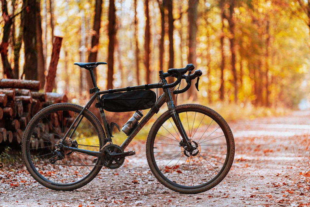 Bike in autumn