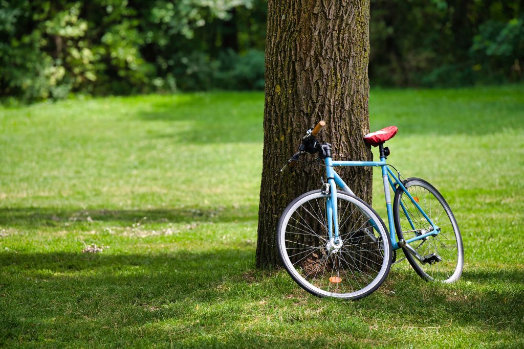Bike in the park