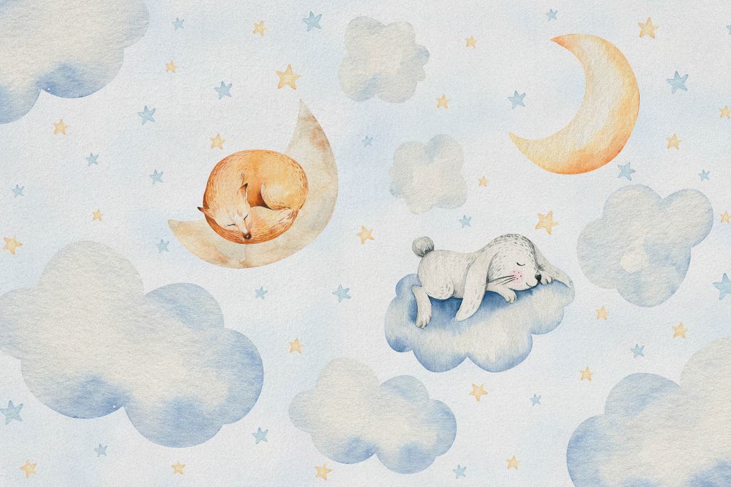 Sleeping friends in the clouds