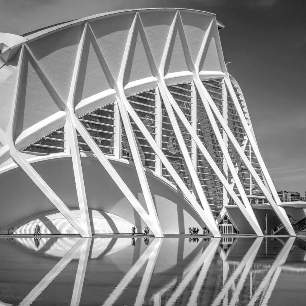 Science Museum - Museo de las Ciencas Principe Felipe - Valencia