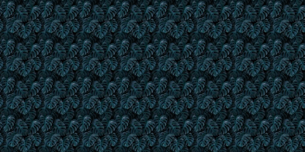 Tropical green Monstera leaves