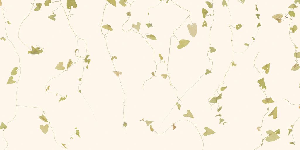 Grey hedgerow beige