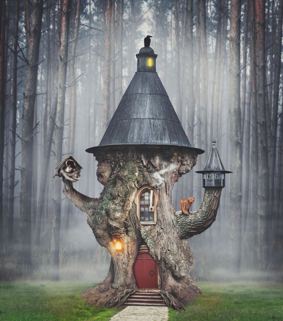 Tree house of the fairies