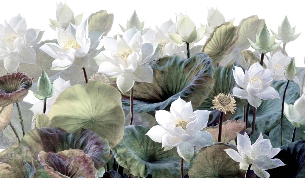 Picturesque lotus flowers