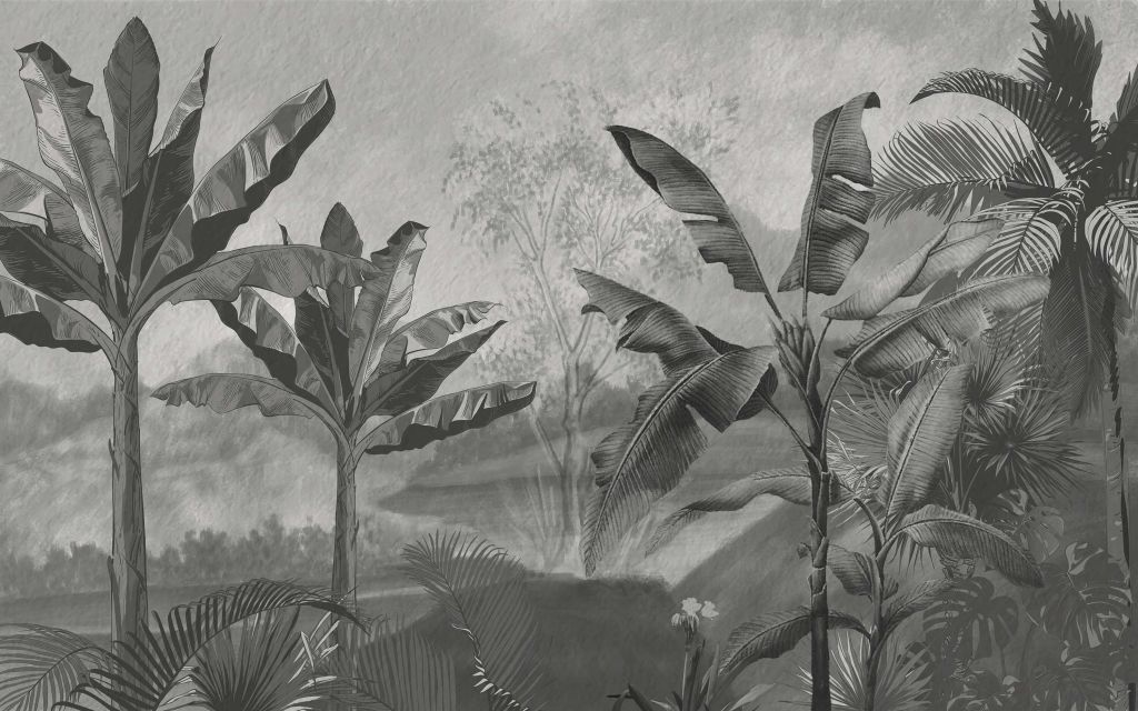 Banana trees in black and white