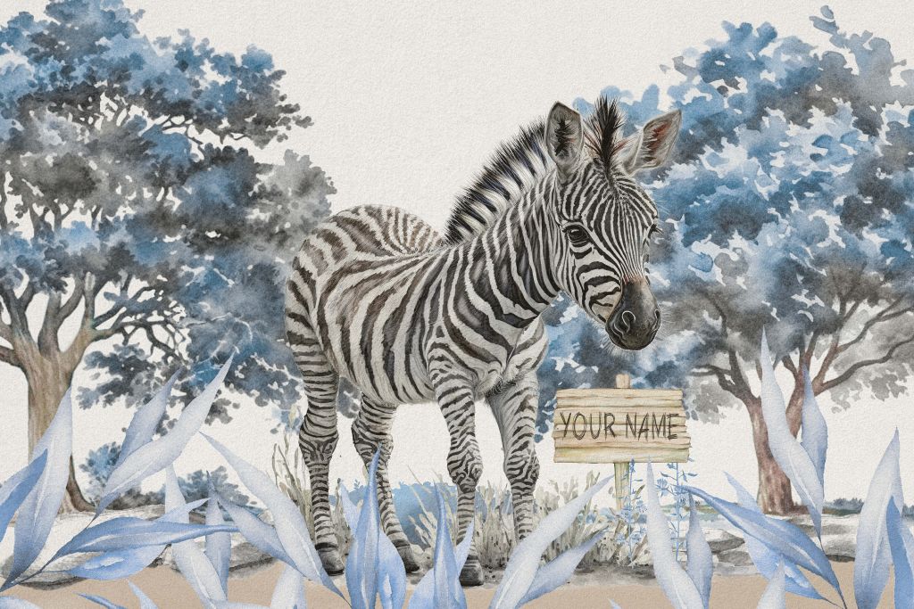 Young zebra in the wild blue