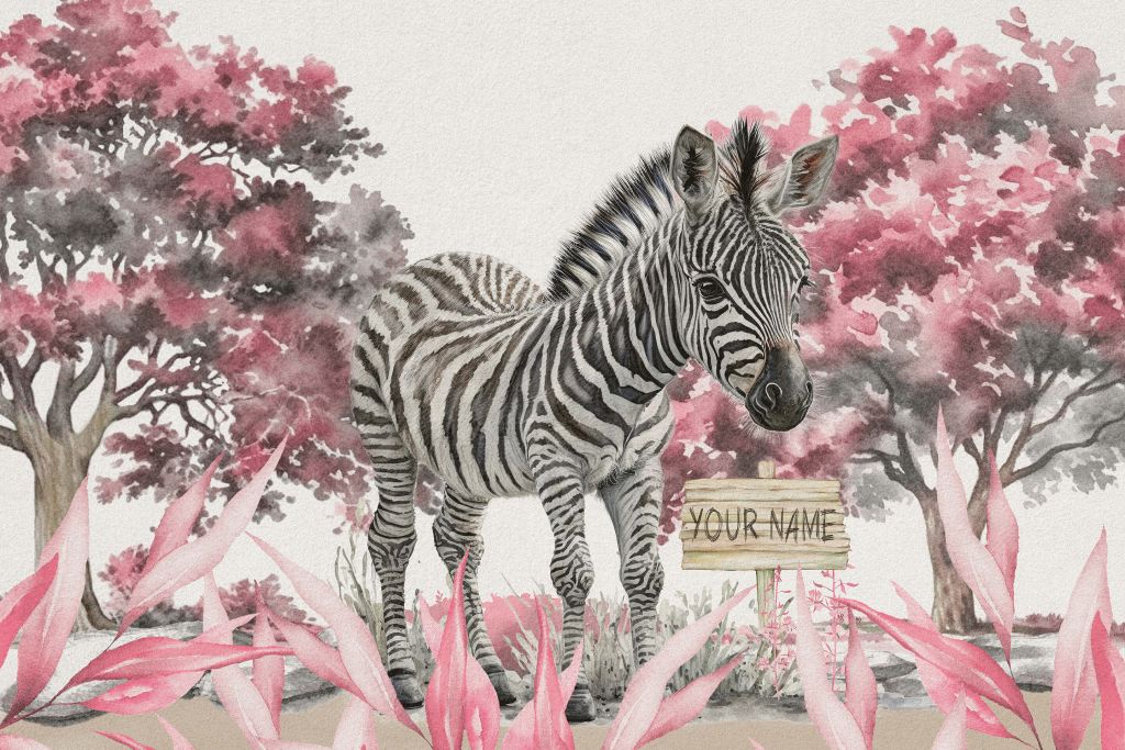 Young zebra in the wild pink