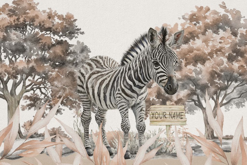 Young zebra in nature taupe