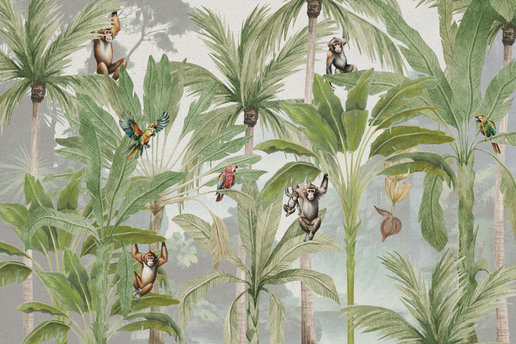 Jungle with monkeys and parrots in colour