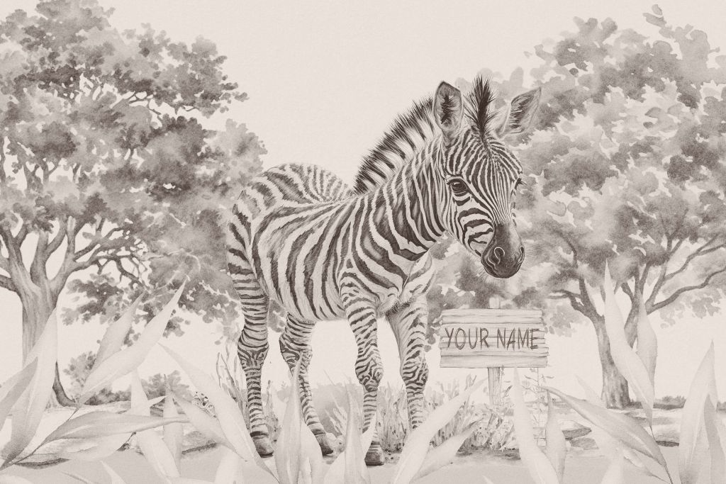 Young zebra in the wild beige
