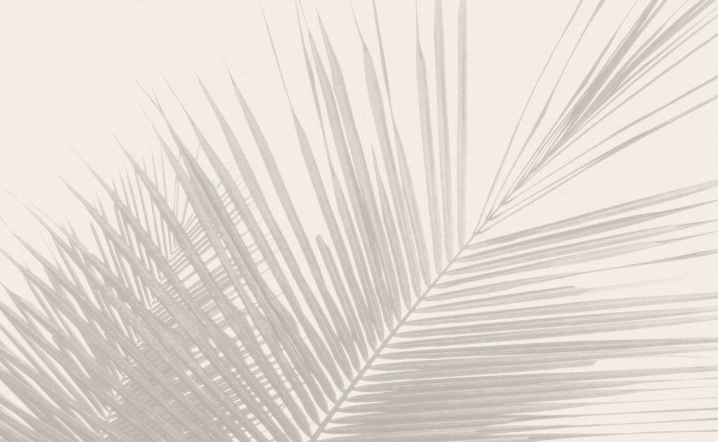 Palm leaves black and white