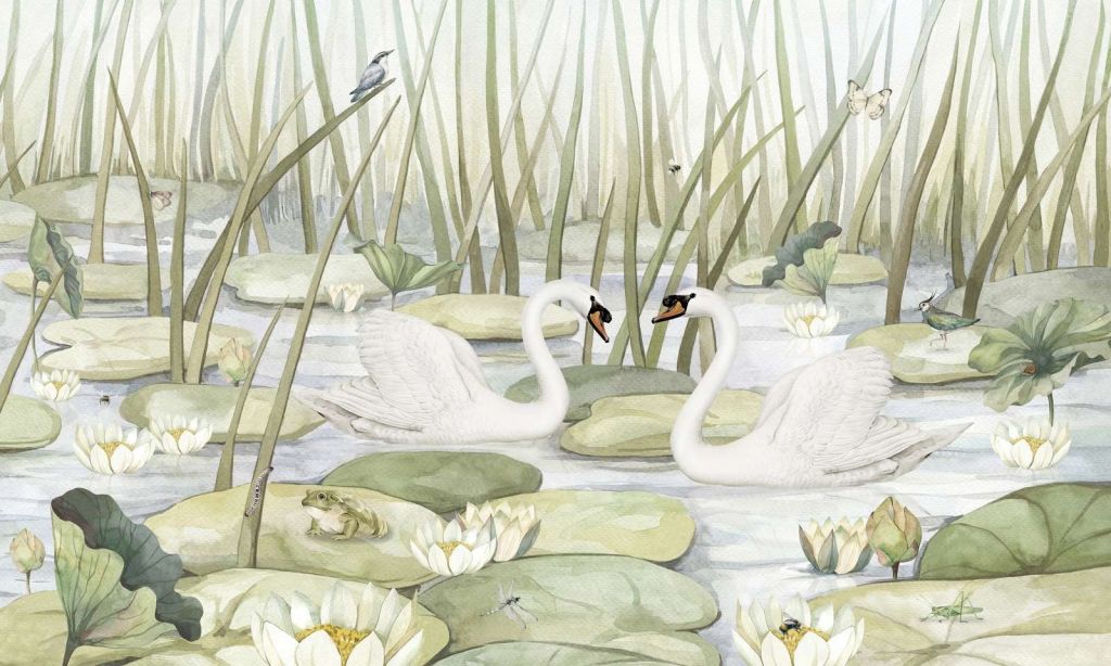 Spectacular Swans