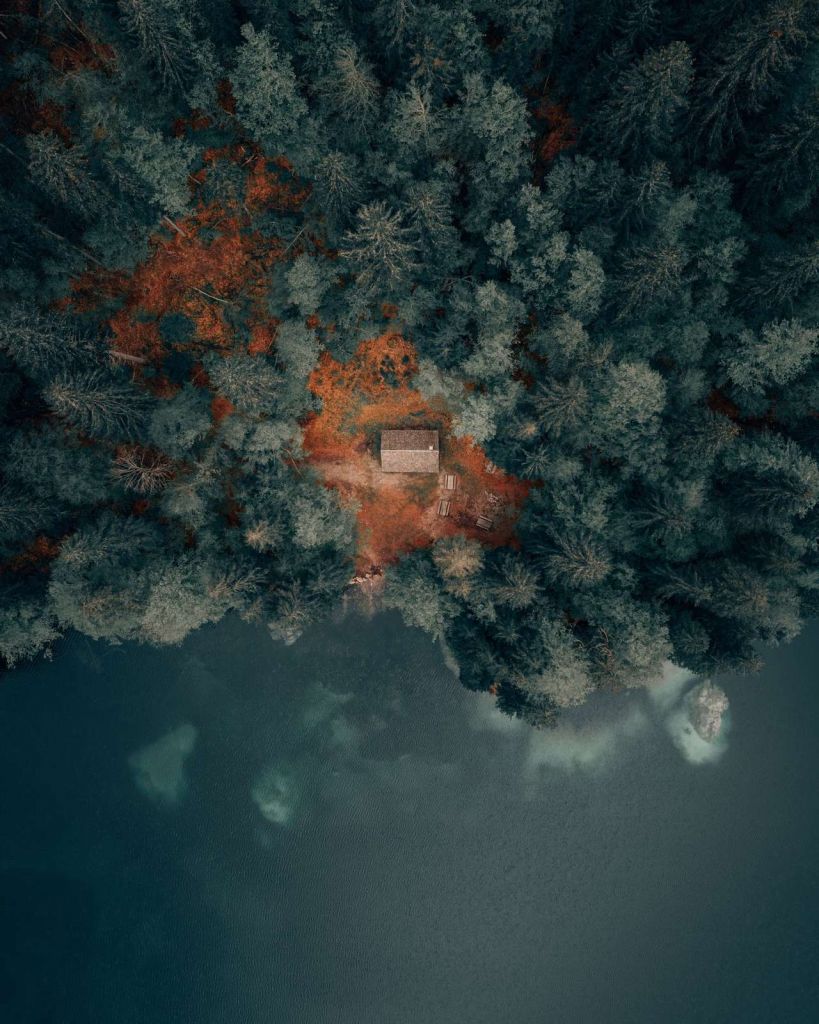 Cabin in the middle of the forest