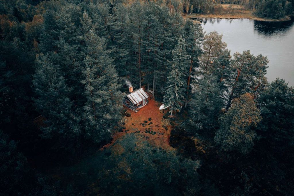 Cabin surrounded by forest and lakes