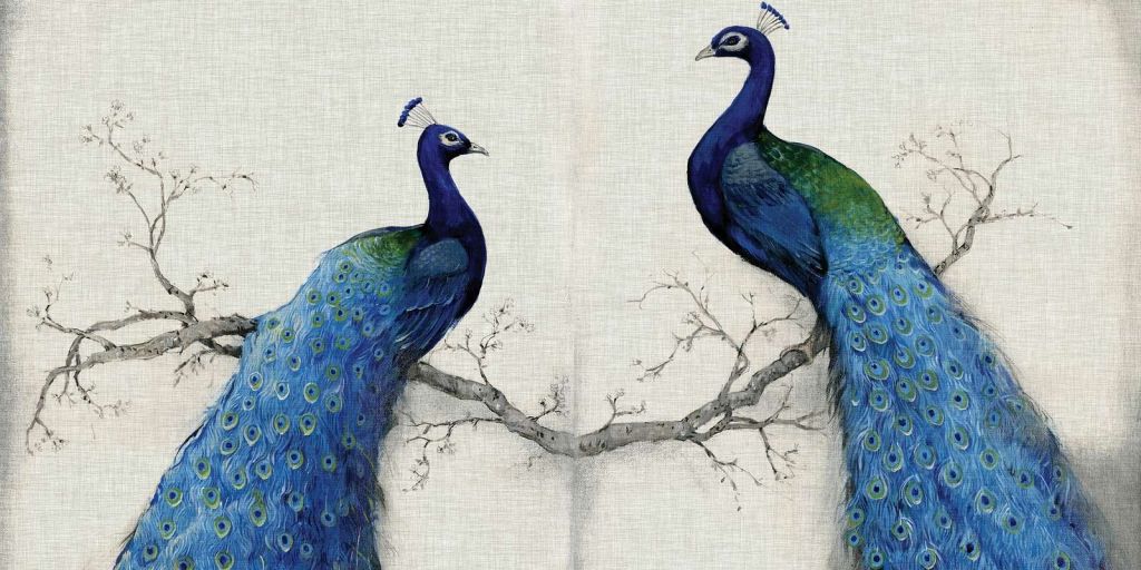 Symphony of Peacocks