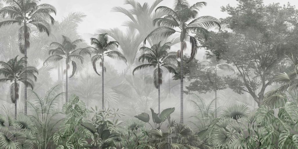 Misty Palm Forest