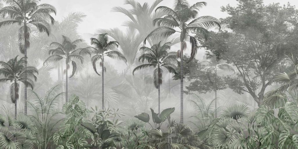 Misty Palm Grove