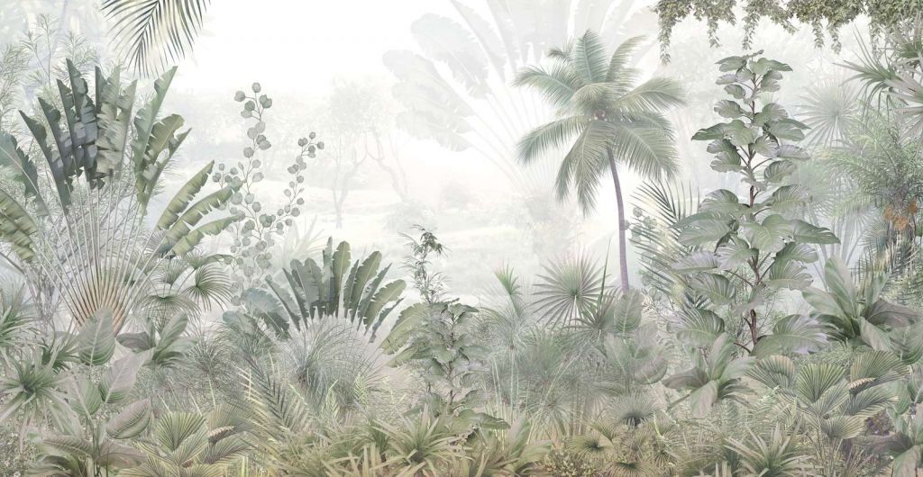 Misty Jungle Morning