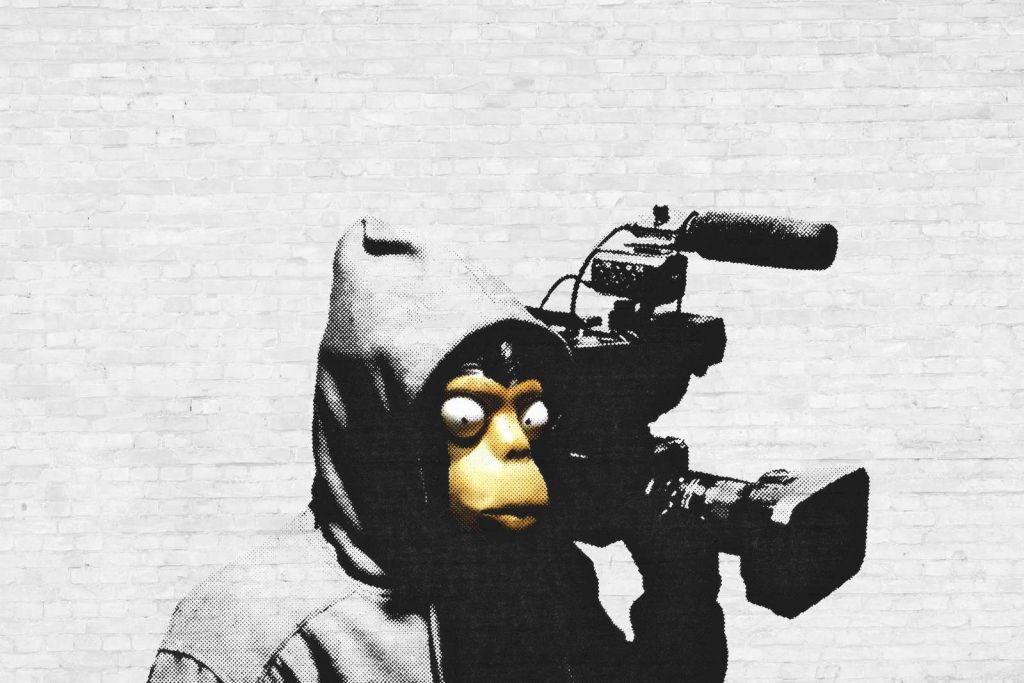 Banksy - ETTGS monkey, white bricks