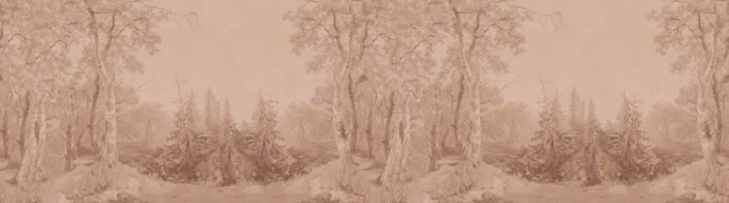 Forest Landscape Earth Panorama