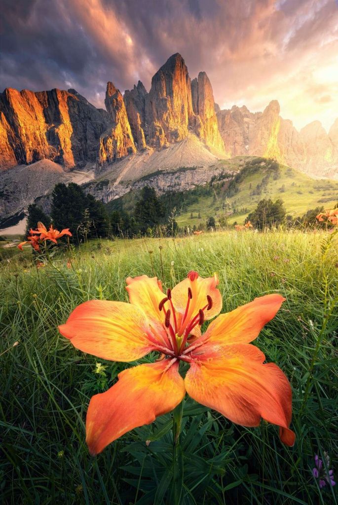 Fiery Alpine Landscape with Lilies