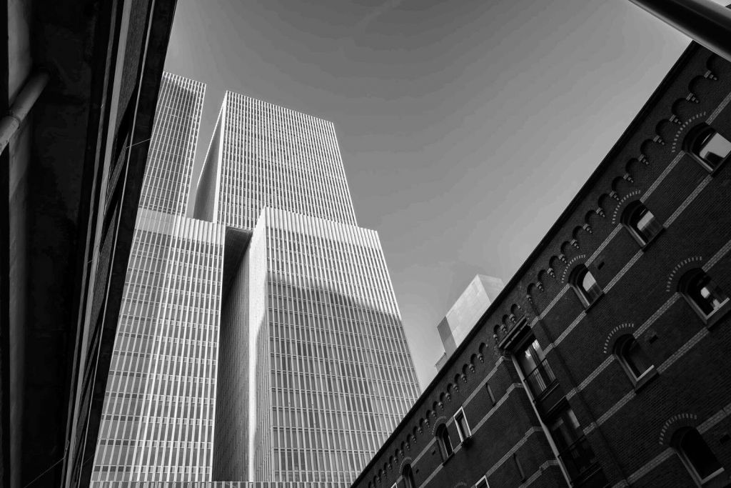 Architectural Contrast in Rotterdam